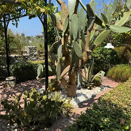 Magnificent In Cyprus Kalamoulia Island