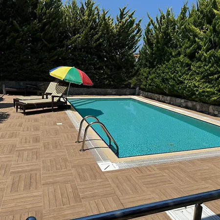 Magnificent In Cyprus