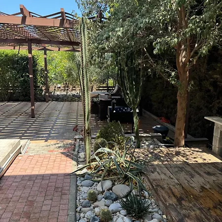 Magnificent In Cyprus