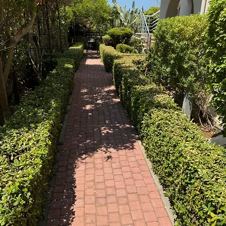 Magnificent In Cyprus